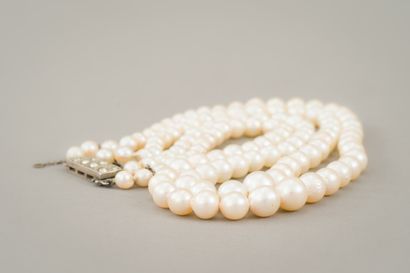null 141. Necklace double row of cultured pearls in fall of 7 to 4,5 mm, silver clasp...