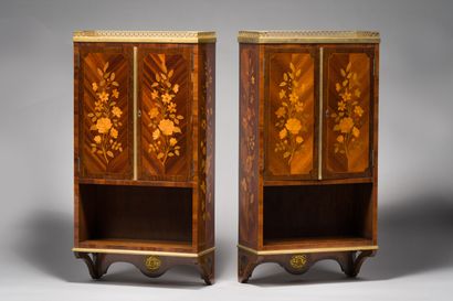 null 76. Gervais-Maximilien-Eugène DURAND

Pair of small wall cupboards forming shelves...