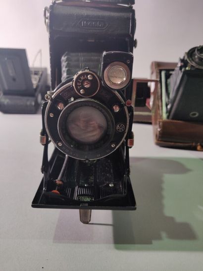 null Camera. Set of eight bellows cameras, various folding, in the state of which...