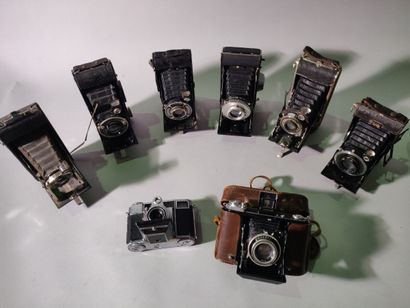 Camera. Set of eight bellows cameras, various...