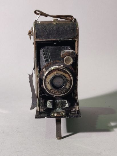 null Camera. Set of eight bellows cameras, various folding, in the state of which...