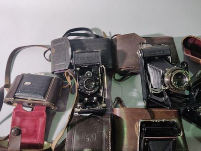 null Camera. Set of eight bellows cameras, various folding, in the state of which...