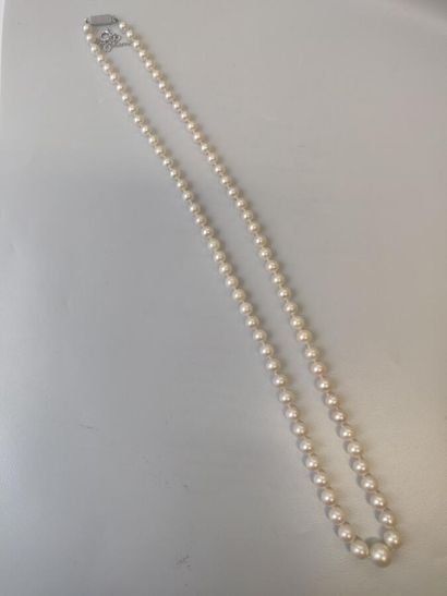 null 118. Collier de perles de culture. Longueur : 50 cm.