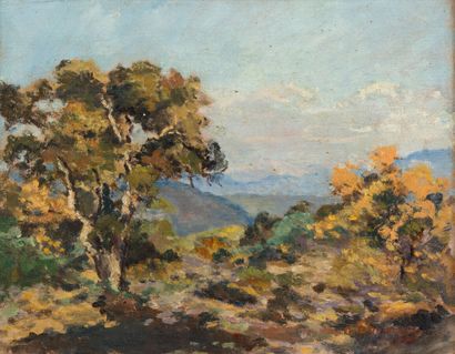 null 169. French school, late 19th century

Landscape with a cork oak tree

 Oil...