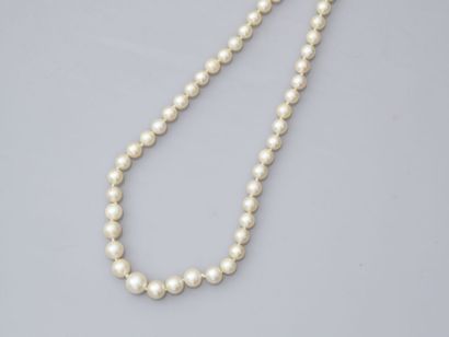 null 28. Collier de perles de culture, fermoir or jaune 750/1000

à décor de stries.

L...