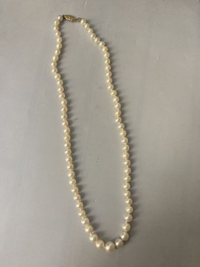 null 28. Necklace of cultured pearls, clasp yellow gold 750/1000

with decoration...