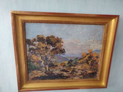 null 169. French school, late 19th century

Landscape with a cork oak tree

 Oil...