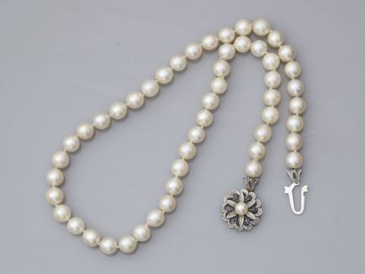 null 29. Collier de perles « shoker » avec fermoir en or gris

750/1000 en forme...