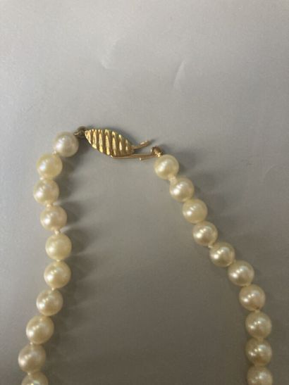 null 28. Necklace of cultured pearls, clasp yellow gold 750/1000

with decoration...
