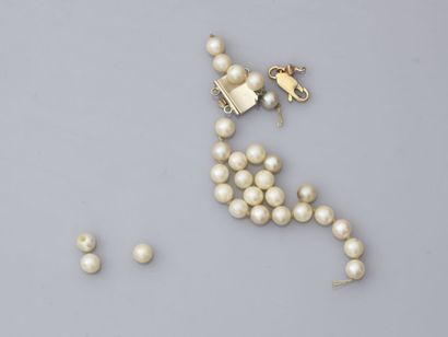 null 28. Collier de perles de culture, fermoir or jaune 750/1000

à décor de stries.

L...
