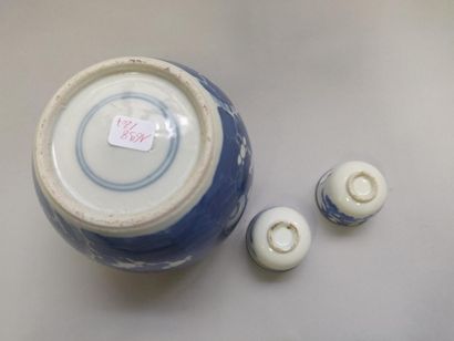 null CHINE et VIETNAM

Pot en porcelaine bleu blanc à décor de prunus.

On y joint...
