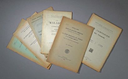 null Ensemble de fascicules sur l'Indochine, début XXe, «Un mois de voyage dans le...