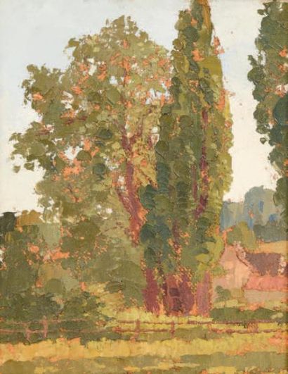 Robert YAN (1901-1994) Étude d'arbres
Huile sur carton, signée au dos.
23 x 18 c...