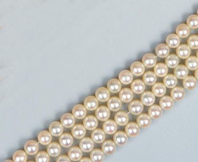 null Bracelet composé de 4 rangs de perles de culture d'environ 5,5 mm, agrémenté...