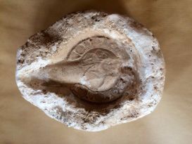 null Moule en calcaire d'une lampe à l'huile chrétienne de Tunisie. IVème siècle...