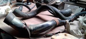 null Corne de Bovidae (Bos taurus) (D) avec liens en cuir et fer à cheval pyrogravé
Longueur...