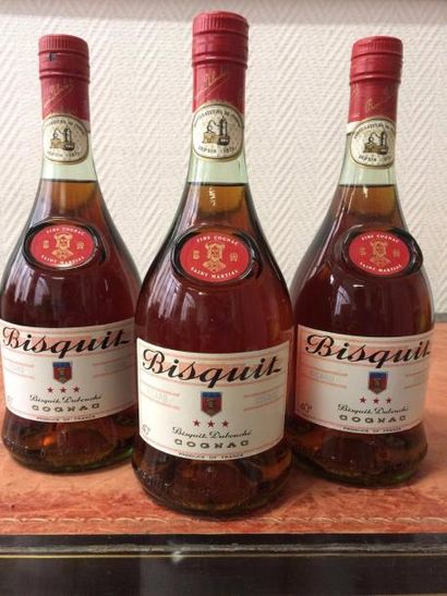 null 3 Bouteilles Fine Cognac «Saint Martial»
Bisquit Dubouché, 0,7 l. Bouteilles...