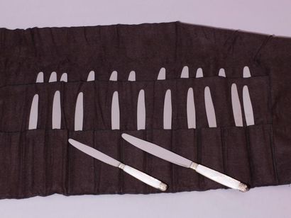 null Série de douze couteaux de table et de onze couteaux à dessert, manches en nacre...