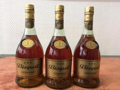 null 3 Bouteilles Fine Cognac «Saint Martial»
Bisquit Dubouché, 0,7 l. Bouteilles...