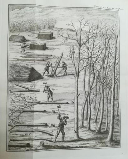 null DUHAMEL DU MONCEAU. De l'Exploitation des bois. Paris, Guérin et Delatour, 1764,...