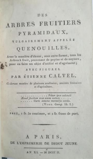 null 61. CALVEL. Des Arbres fruitiers pyramidaux vulgairement appelés quenouilles....