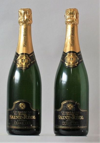 null 2 bouteilles CHAMPAGNE St. Reol brut Grand cru AMBONNAY Millésimes 1995 et ...