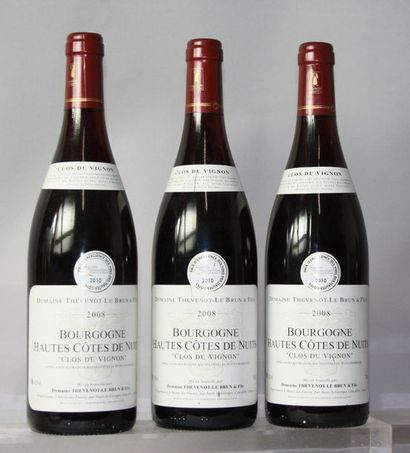 null 3 bouteilles BOURGOGNE HAUTES CÔTES DE NUITS "Clos du Vignon" - Domaine THEVENOT-LE...