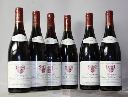 null 6 bouteilles BOURGOGNE HAUTES CÔTES DE NUITS - Domaine THEVENOT-LE BRUN 201...