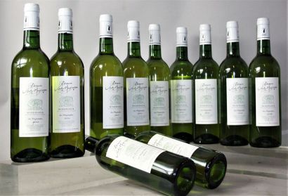 null LOT DE 11 MINERVOIS "Les Pégounels" - VORDY MAYRANNES Blanc 11 bouteilles de...