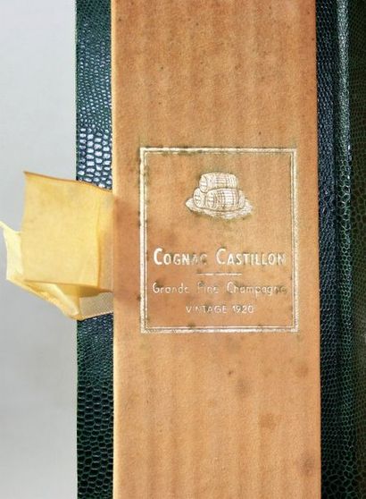 null 1 flacon COGNAC Grande fine Champagne - Pinet Castillon 1920 Niveau mi- médaillon,...