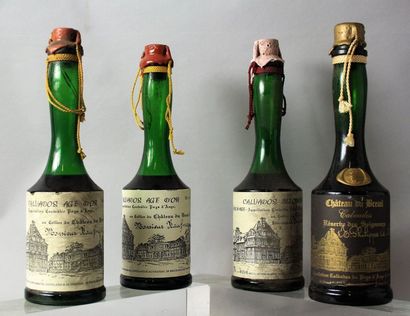 null LOT DE 4 BOUTEILLES DE CALVADOS DIVERS DU CHÂTEAU DUBREUIL
 2 bouteilles Age...