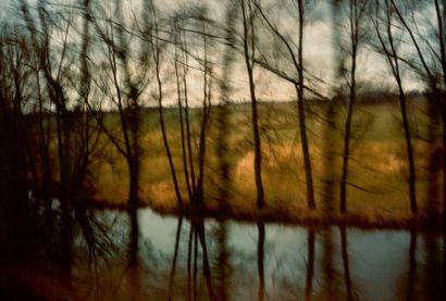 Nan GOLDIN (né en 1953) 
Trees by the River, Munich
Cibachrome.
69 x 105.5 cm
Provenance:...