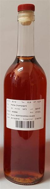 null Cognac Petite Champagne CV 10, récolte présumée 1973, AP 13,51 hl, 53,80 TA...