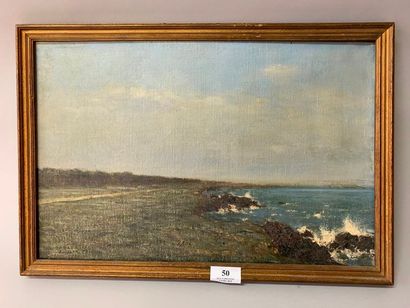 null Henri DANGER (1857-1937)
Bord de mer 
Huile sur toile non signée, située et...