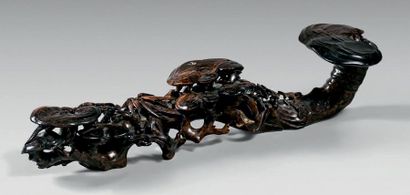 CHINE - XVIIIe siècle 
Sceptre «ruyi» en stéatite brune veiné, en forme de champignon...