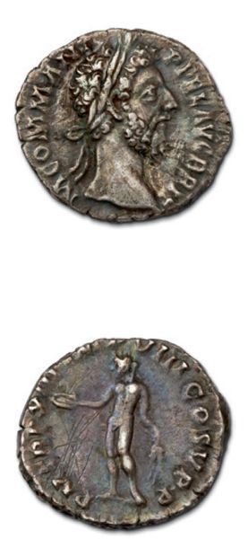 null Denier: 15 exemplaires variés. Titus - Domitien - Nerva - Trajan (3 ex.) - Antonin...
