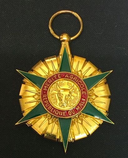 null Mali - Ordre du Mérite agricole, fondé en 1973, étoile d'officier en bronze...