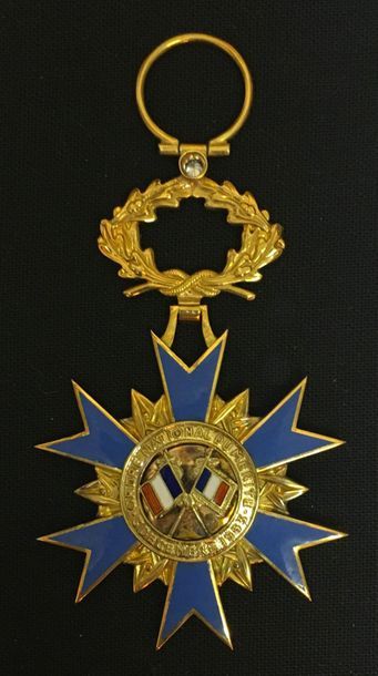 null Ordre national du Mérite, étoile d'officier, modèle de joaillerie en or émaillé...