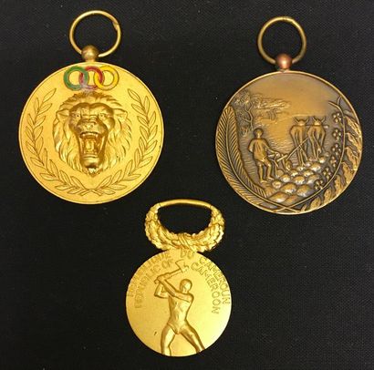 null Cameroon - Set of three medals: a Sports Merit medal in partially enamelled...