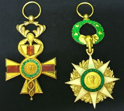 null Côte d'Ivoire - Set of two: Order of Public Health, founded in 1962, officer's...