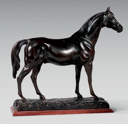 null Large statuette of a stallion at rest in patinated bronze. Natural base with...