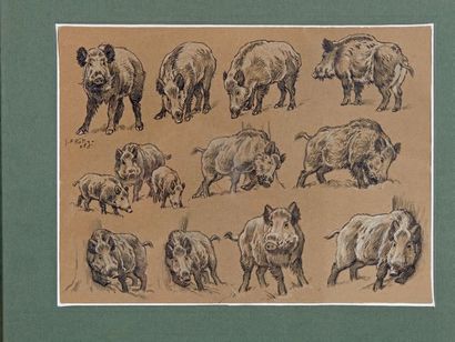 Georges Frédéric ROTIG (1873-1961) Studies of Wild Boars, 1905
Black pencil drawing...