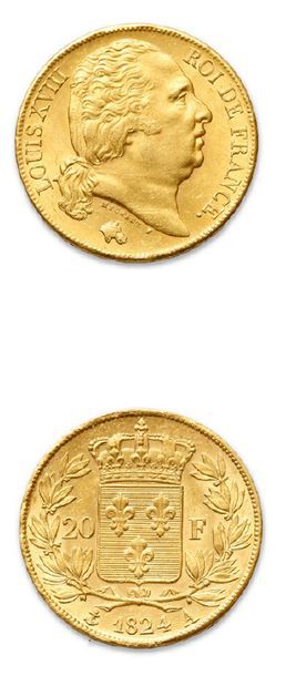 null LOUIS XVIII (1815-1824)
20 francs or. 1824. Paris.
G. 1028.
TTB à superbe.
