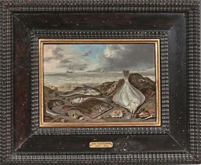 JAN VAN KESSEL (1626-1679) Still life of fish on the shore
Oil on copper.
14 x 19...