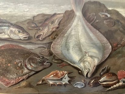 JAN VAN KESSEL (1626-1679) Nature morte de poissons au bord d'un rivage
Huile sur...