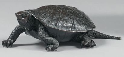 JAPON - fin du XIXe siècle 
Okimono en bronze à patine brune, tortue marchant.
Longueur:...