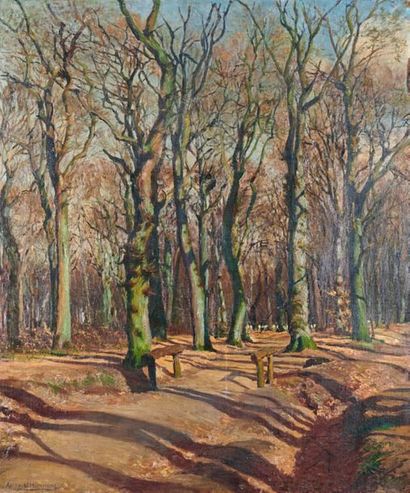 August HAERNING (1874-1961) 
Allée en forêt
Huile sur toile, signée en bas à gauche.
(Restaurations).
76...