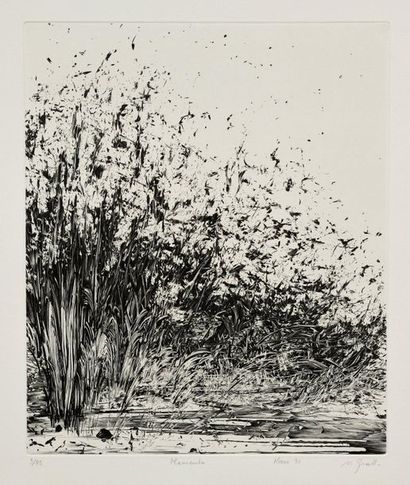 Nathalie GRALL Memento, 1991, etching, 29.5 x 24.5 cm, margins 57.5 x 38 cm. Attached...
