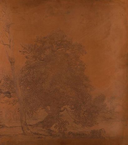 Attribué à Eugène DELÂTRE The Tree, etch-engraved copper, 48 x 42 cm, unbevelled...