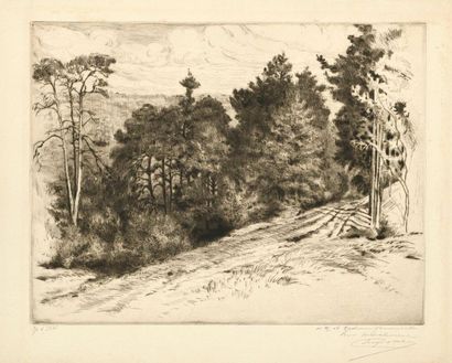 Eugène DELATRE Entrée de forêt à Méreville, 1912, pointe sèche,
24 x 32 cm, marges...